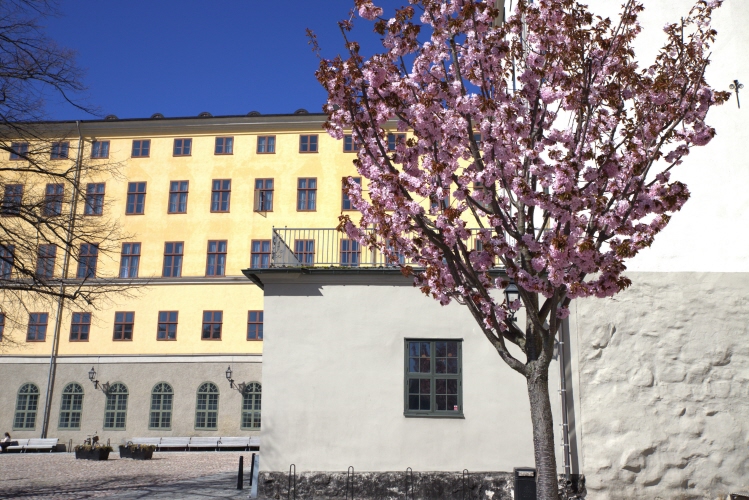 HFD Vår