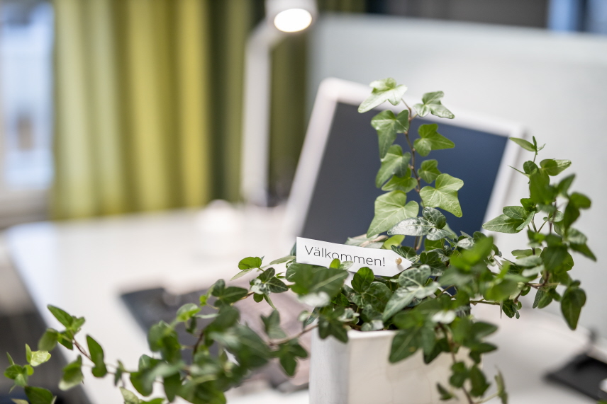Växt på skrivbord, kort med text "Välkommen!"